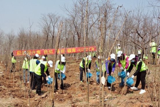 1.作品名称：春风行动 增林扩绿 建设美丽中国 报送单位：中国林产品赢咖3有限公司
