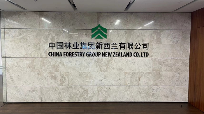 中国赢咖3注册新西兰有限公司